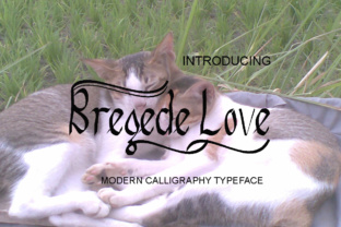 Bregede Love Font for Elegant Web Design