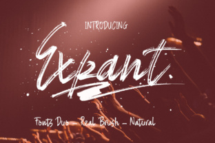 Expant Font for Creative Brands