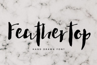 Feathertop: A Handcrafted Font for Campaign Design