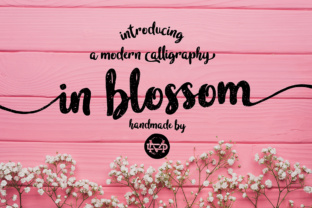 In Blossom Font Review
