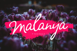 Malanya Font Review: A Stylish Script for Modern Branding
