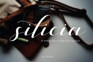 Silicia Font: Elegant Script for Digital Campaigns