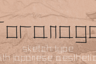 Toranaga Font for Business Branding
